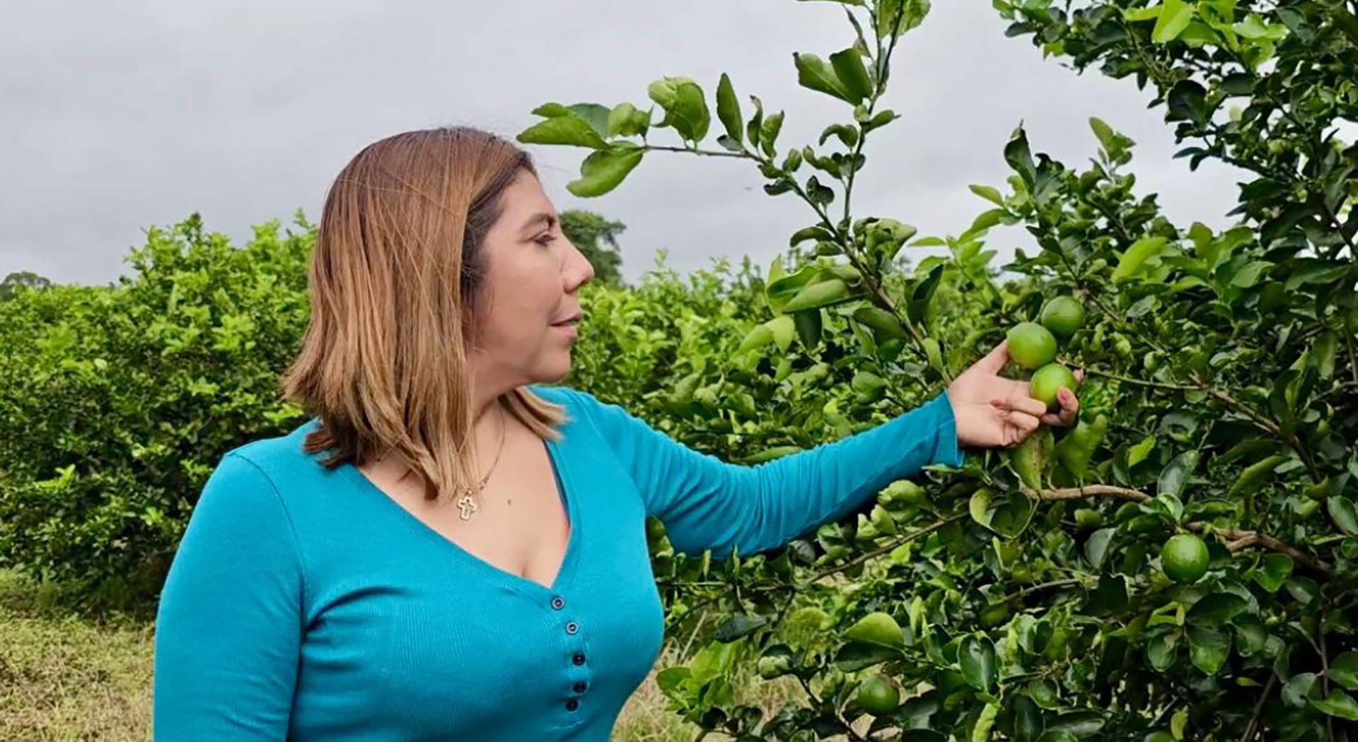 Tierra de Piña, Cítricos y Fiesta